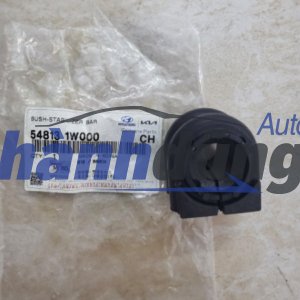 CAO SU CÂN BẰNG TRƯỚC KIA RIO